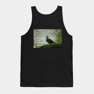 Step Into The Light Tank Top